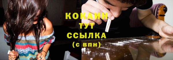 твердый Костерёво