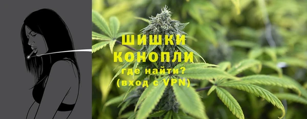каннабис Корсаков