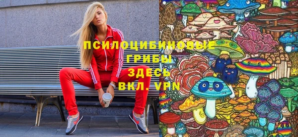 каннабис Корсаков
