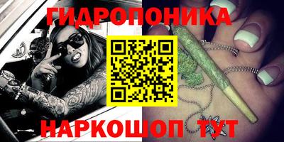 гидропоника Гай