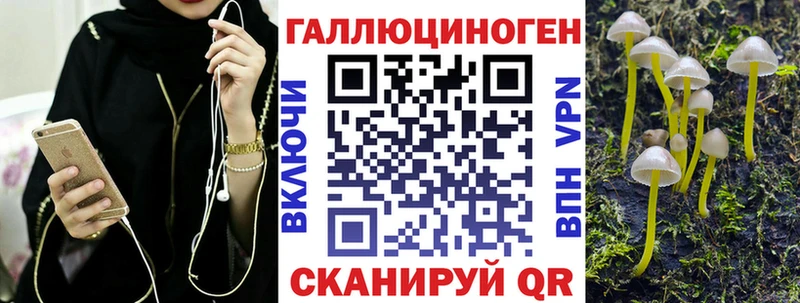 Галлюциногенные грибы Psilocybine cubensis Миллерово