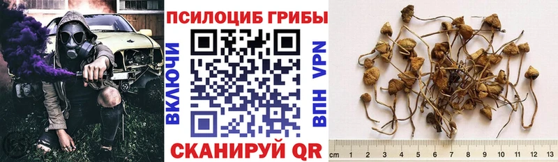 ссылка на мегу tor  Миллерово  Псилоцибиновые грибы мицелий 